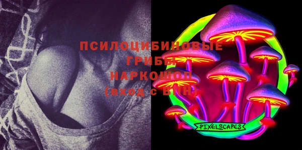 бошки Абинск