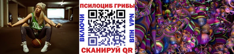 Псилоцибиновые грибы MAGIC MUSHROOMS  наркотики  hydra ССЫЛКА  Камень-на-Оби 